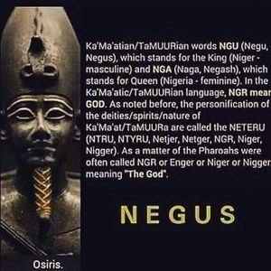 Meet your Posher, Albert